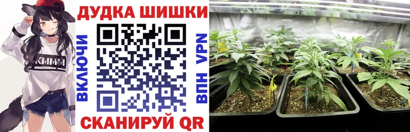 darknet состав  Фокино  Бошки Шишки AK-47  гидра ССЫЛКА 